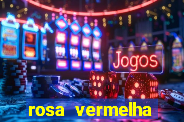 rosa vermelha (letra e cifra)